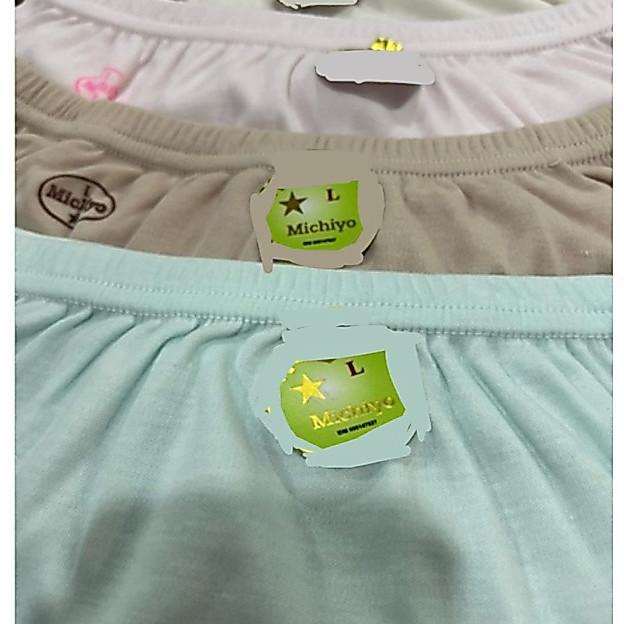 (6Pcs) Cd Perempuan Dewasa Celana Dalam Cewek Wanita Michiyo
