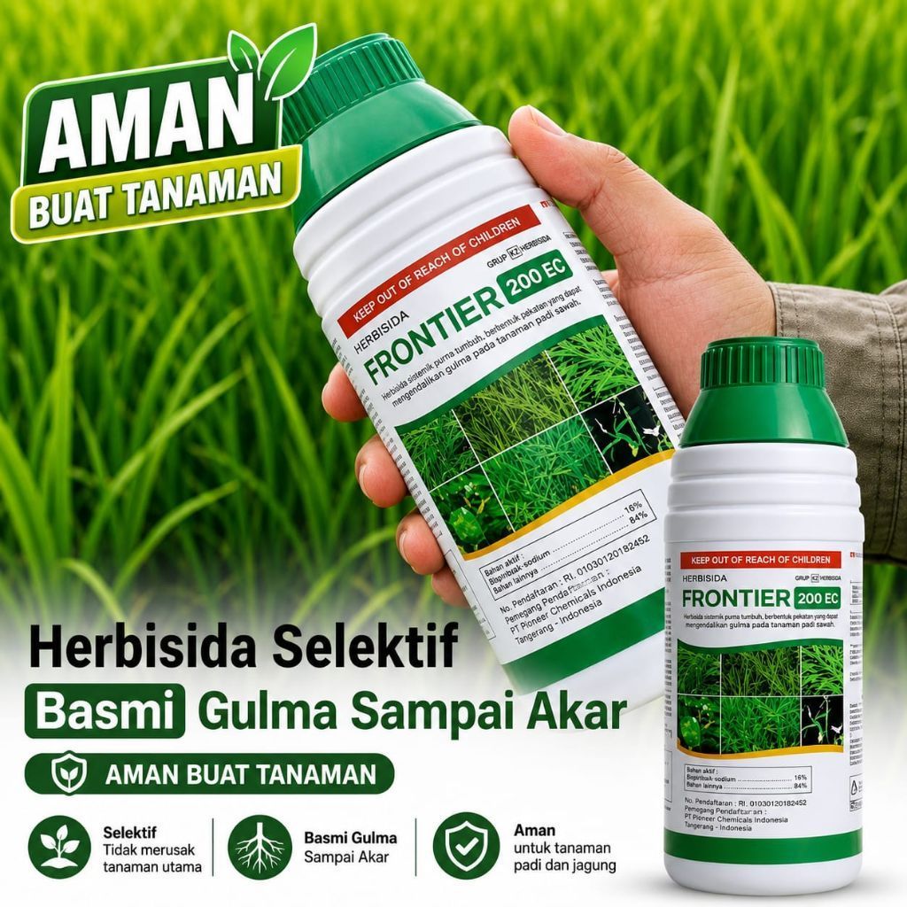 HERBISIDA SELEKTIF FRONTIER 200 OD PEMBASMI GULMA CEPAT AMAN BUAT TANAMAN