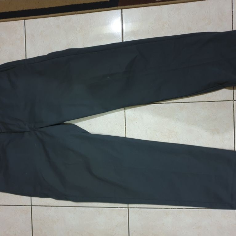 Long pants dickies