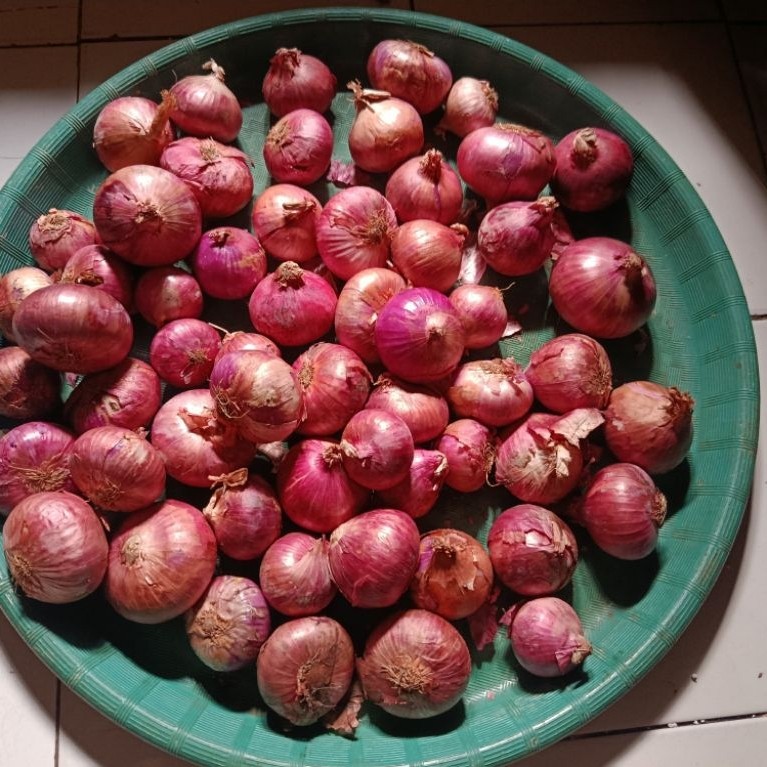Bawang Merah Peking India Bawang Peking India 500 gram