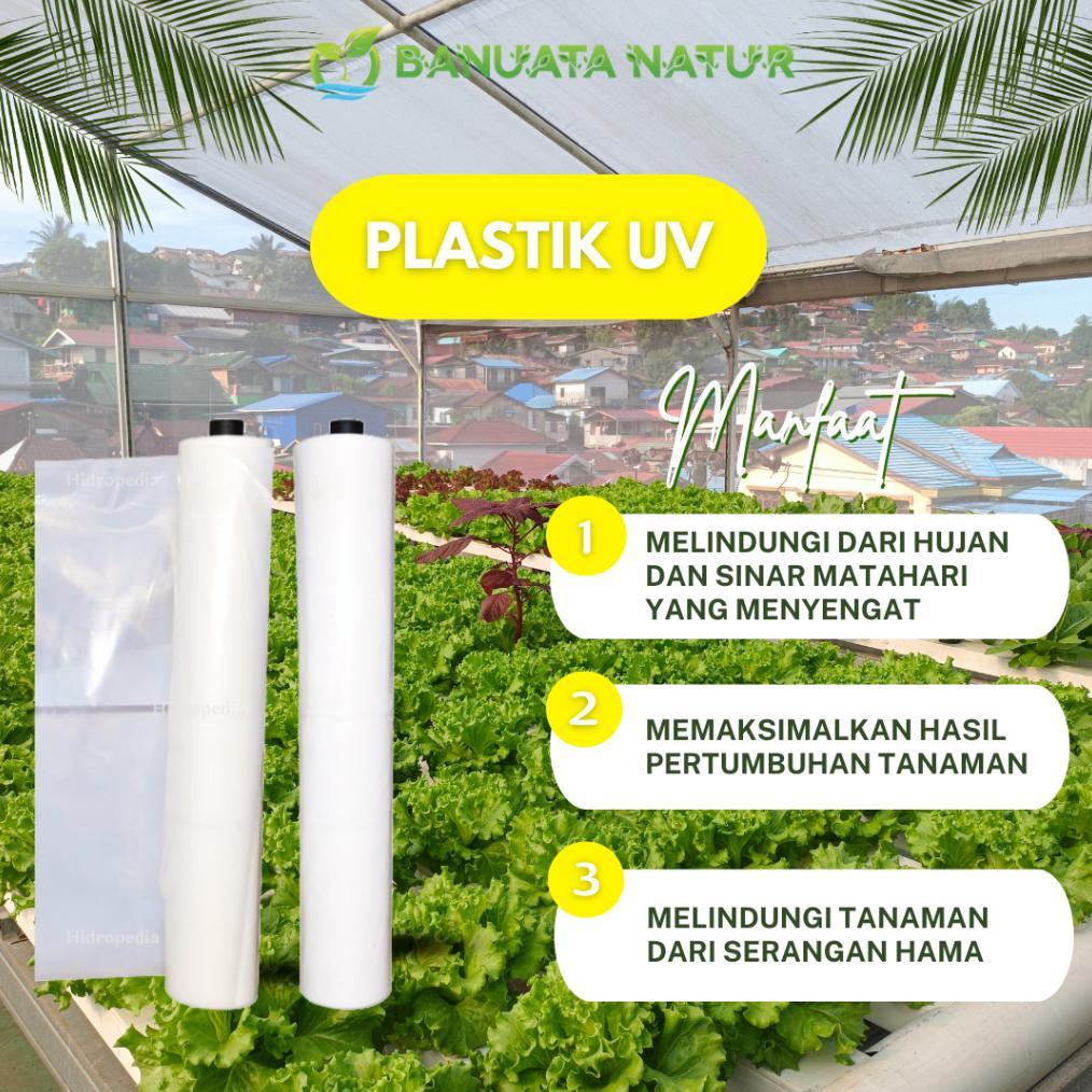Best Plastik UV Vatan Import Turki Lebar 8 Meter Berkualitas-Banuata
