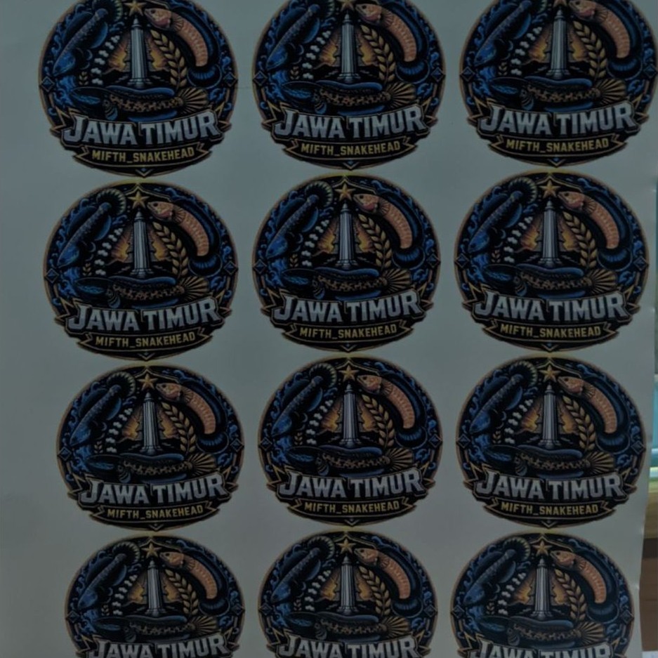 stiker channa limbata