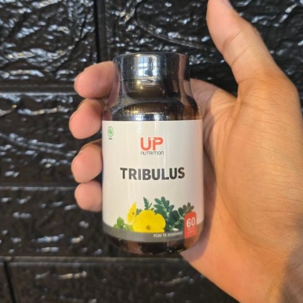 Suplemen Fitness UP Tribulus 60 kapsul Testosterone Booster Malang Nutrition