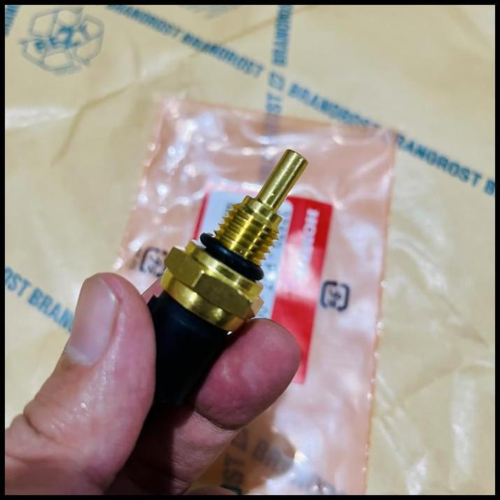 TERLARIS SENSOR SWITCH WATER TEMPERATUR CITY Z FERIO GENIO CIELO 