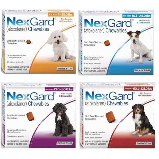 Obat Kutu Anjing Dan Demodex NEXGARD Dog S / M / L / XL