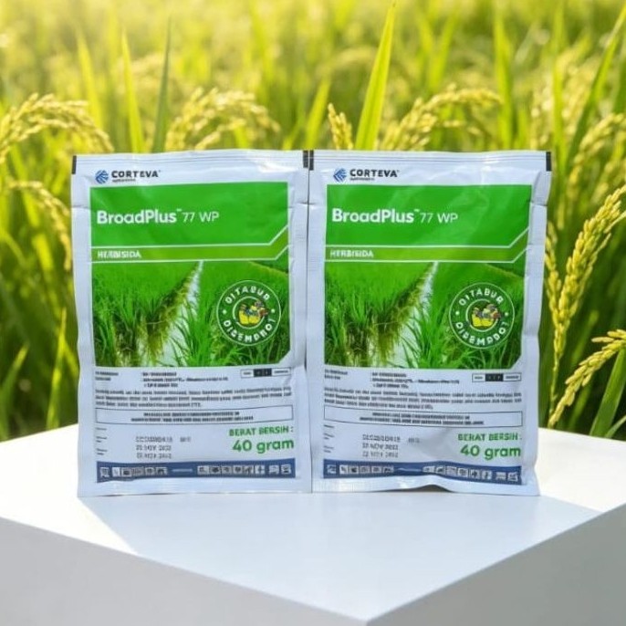 broadplus 77 wp