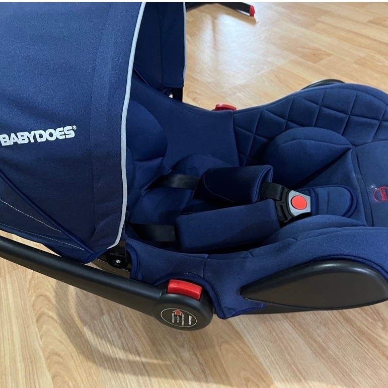 PL Infant Carrier Babydoes