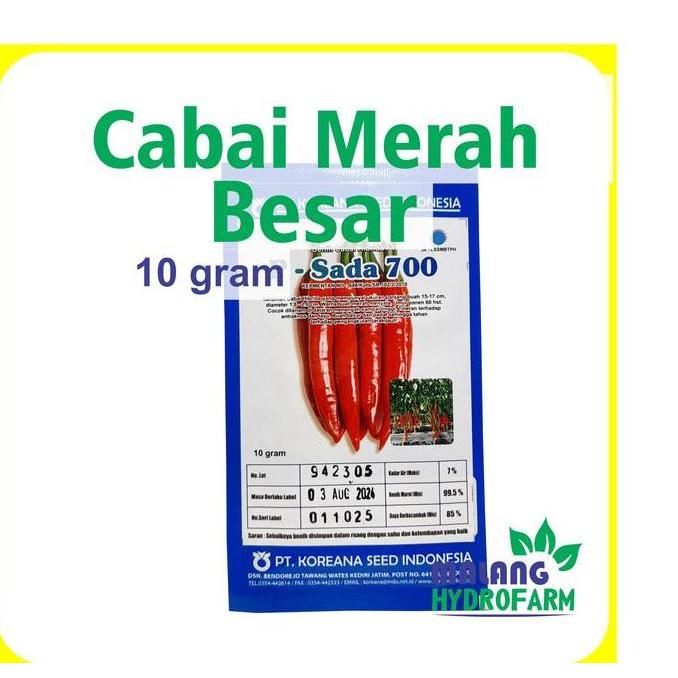 Benih Cabai Merah Besar P-Sada 700 10 Gram Koreana Seed Indonesia Dataran Menengah Tinggi Unggul Bib
