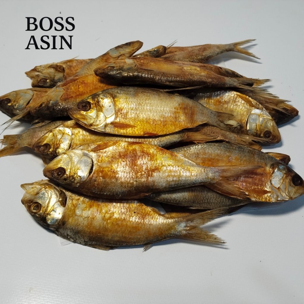 BOSS ASIN BELO / ikan asin belo enak segar lezat