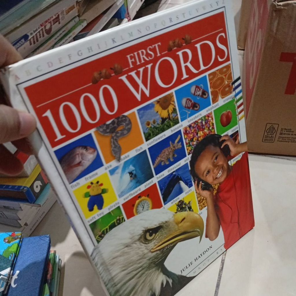 FIRST 1000 WORDS JULIE HAYDON