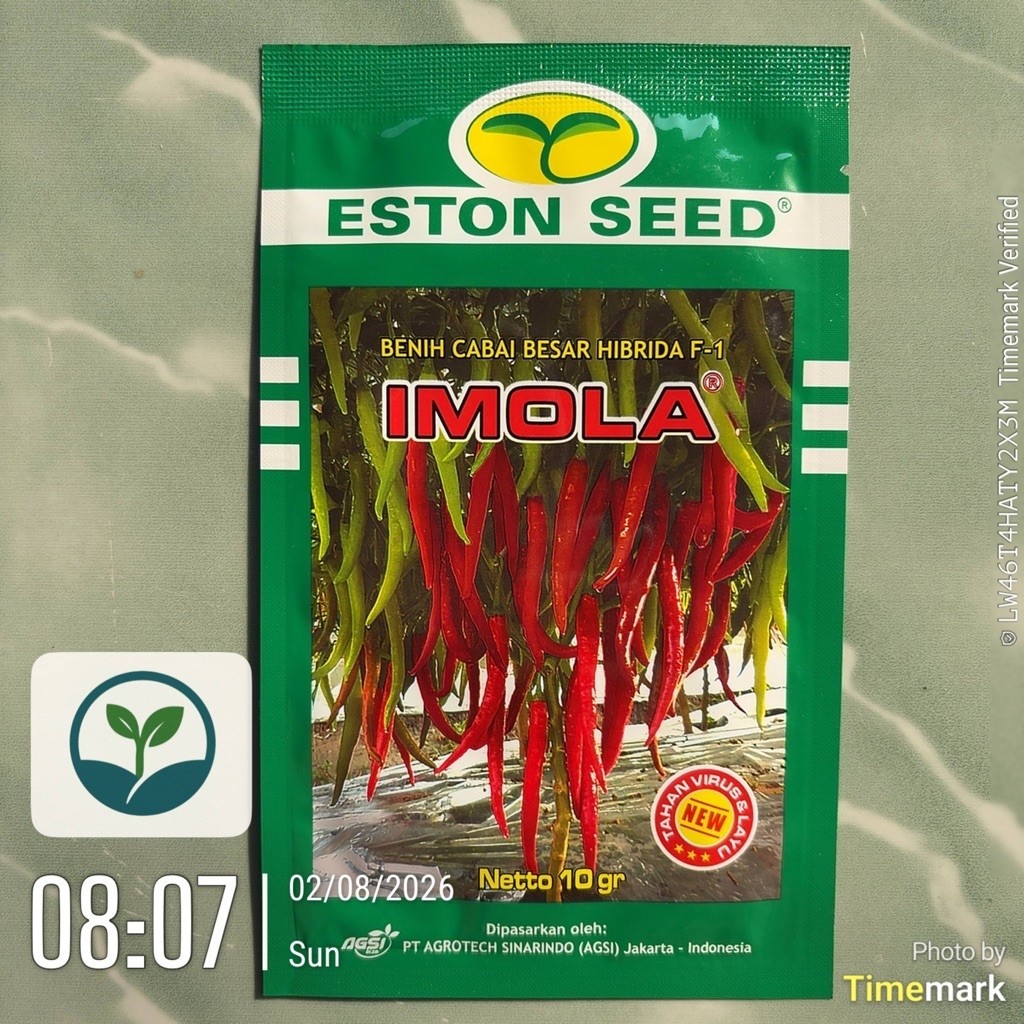 BENIH NEW IMOLA CABAI BESAR HIBRIDA F1 10 GRAM - EXP DATE 21 OKTOBER 2027
