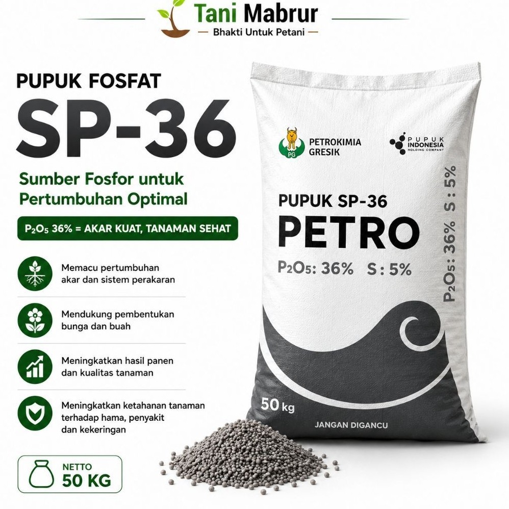 SP 36 Petro 50KG - Pupuk Tinggi Fosfor Untuk Pertumbuhan Optimal Asli Petrokimia Gresik