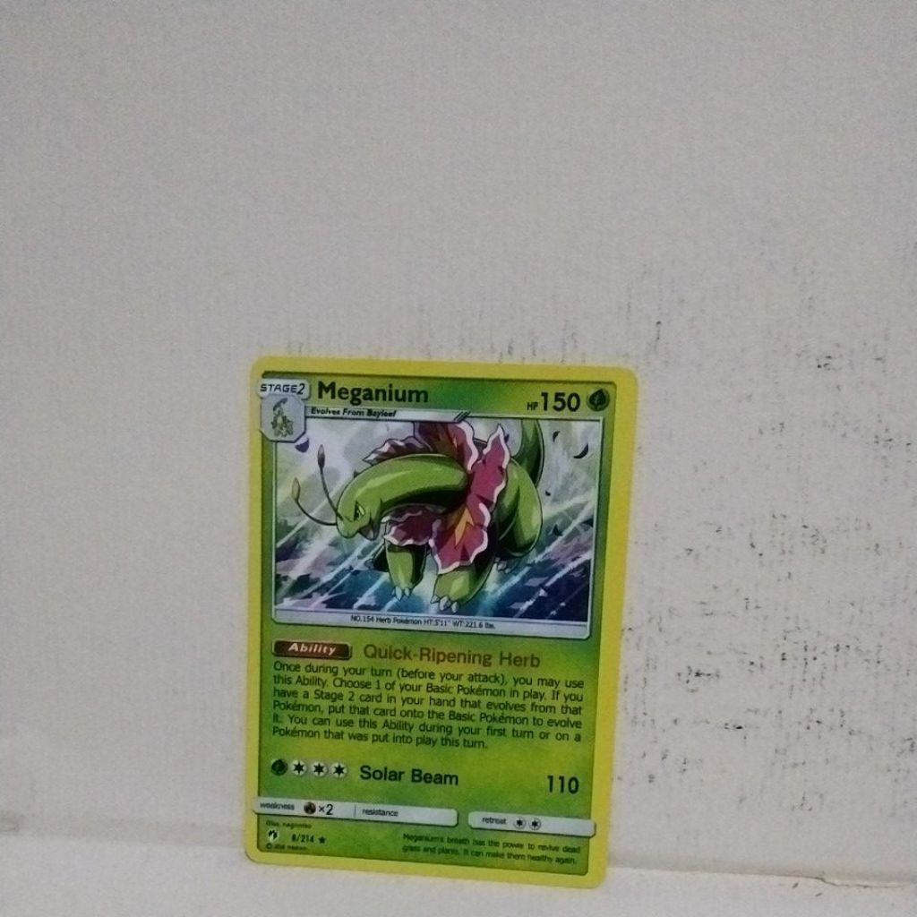 Paket Kartu Pokemon Meganium