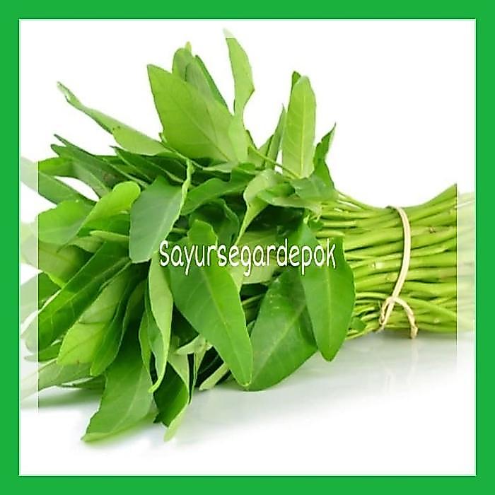 NEW Kangkung / Sayuran Kangkung Segar Pilihan Organik