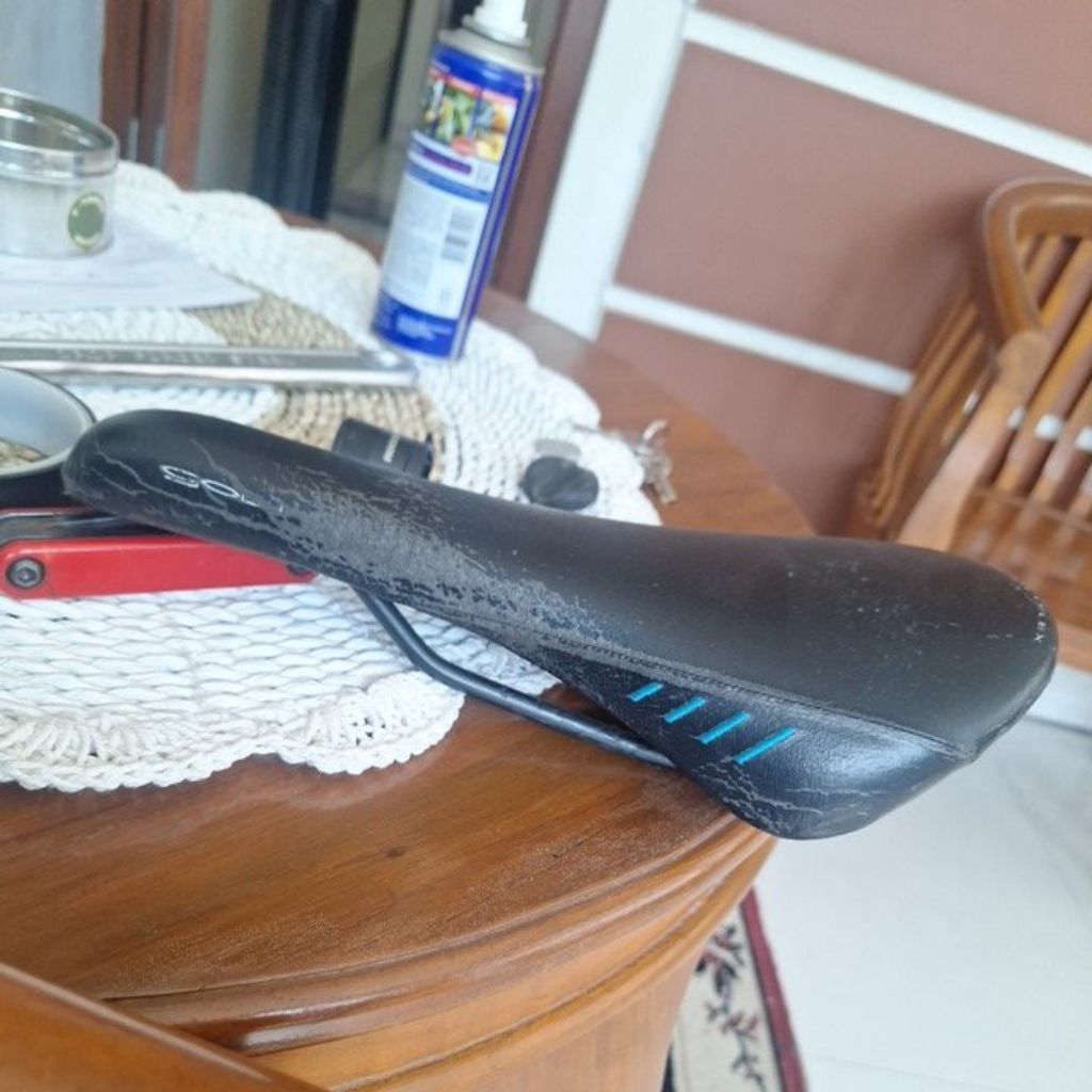sadle fizik gobi second