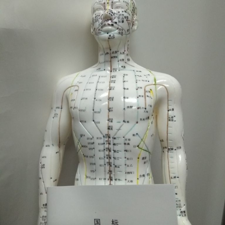 Model Patung Akupuntur / Boneka Titik Titik Akupuntur / Patung Peraga Akupuntur