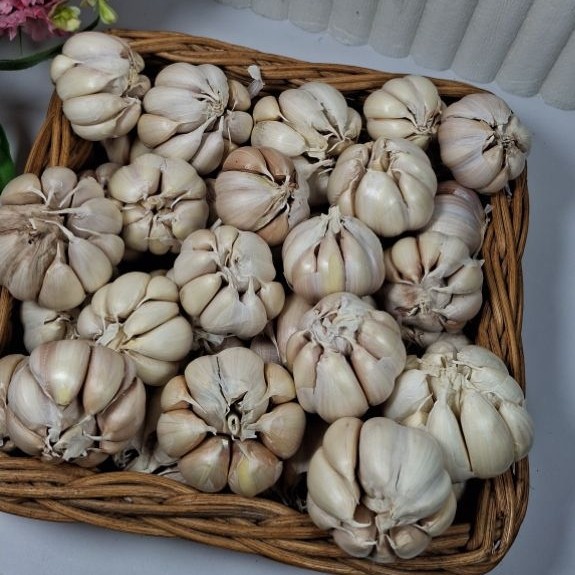 Bawang Putih Sinco