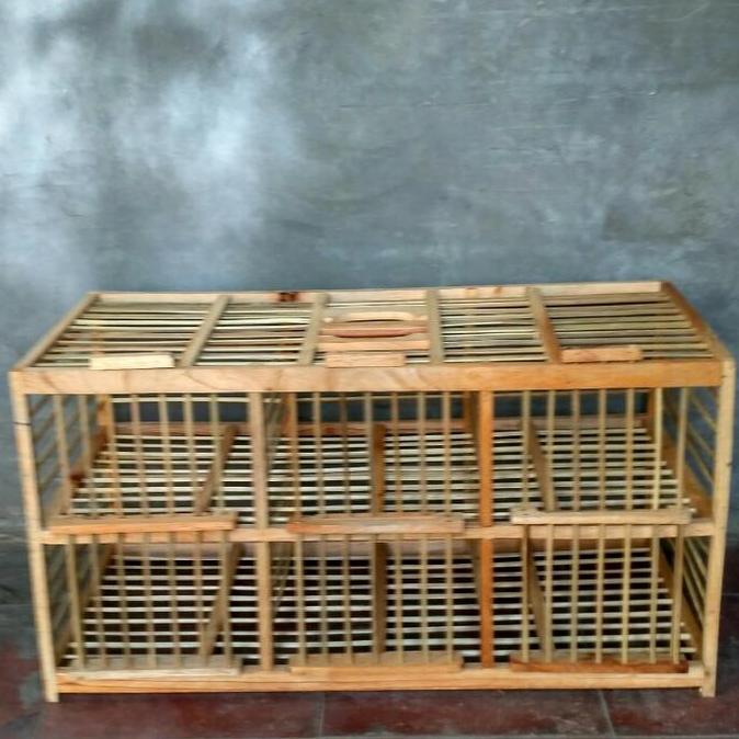 Kandang burung Dara pintu 6 kayu jati kesamping