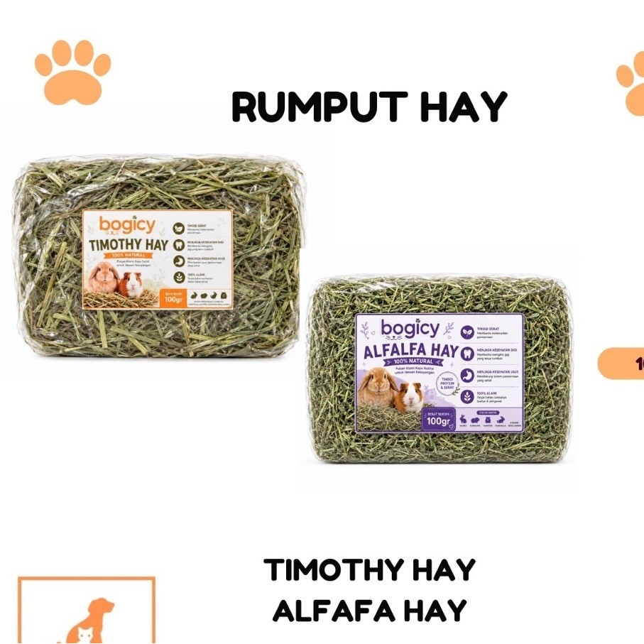 bogicy rumput timothy hay alfalfa hay rumput kelinci