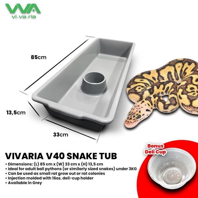 Vivaria V40 Snake Tub Kotak Ball Python BP Ular