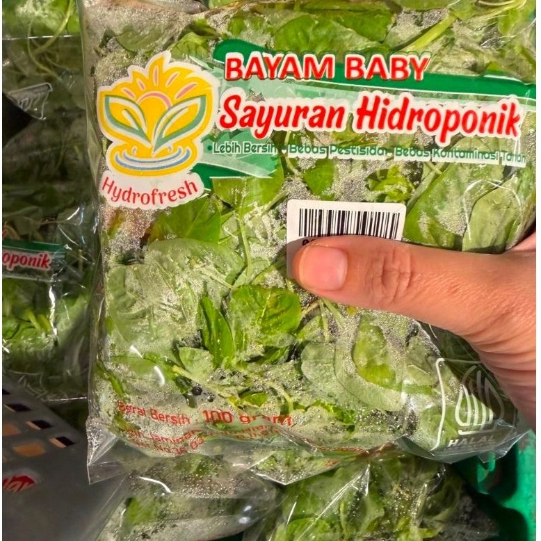 SAYURAN HIDROPONIK BAYAM BABY. SAYURAN BAYAM BABY. BAYAM BABY. BAYAM HIDROPONIK. BAYAM HYDROFRESH