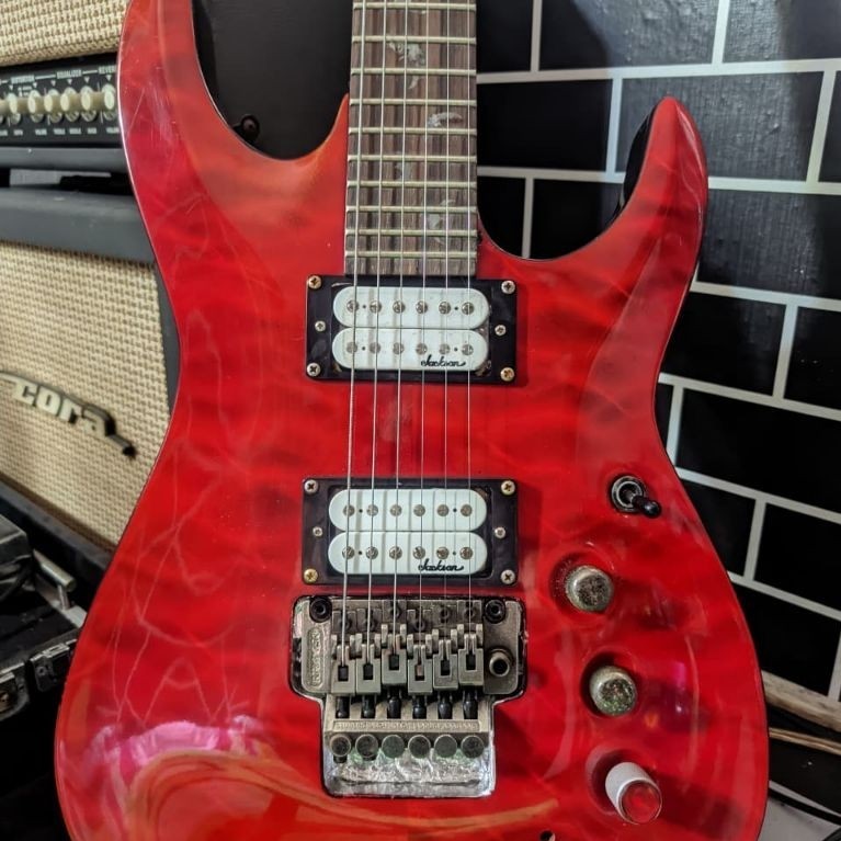 gitar schecter