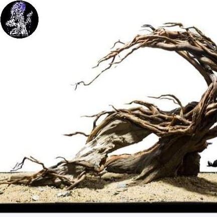 HARDSCAPE AQUARIUM AQUASCAPE HIASAN AQUARIUM AQUASCAPE ELEGAN AQUARIUM AQUASCAPE SHOOT HARDSCAPE AQU