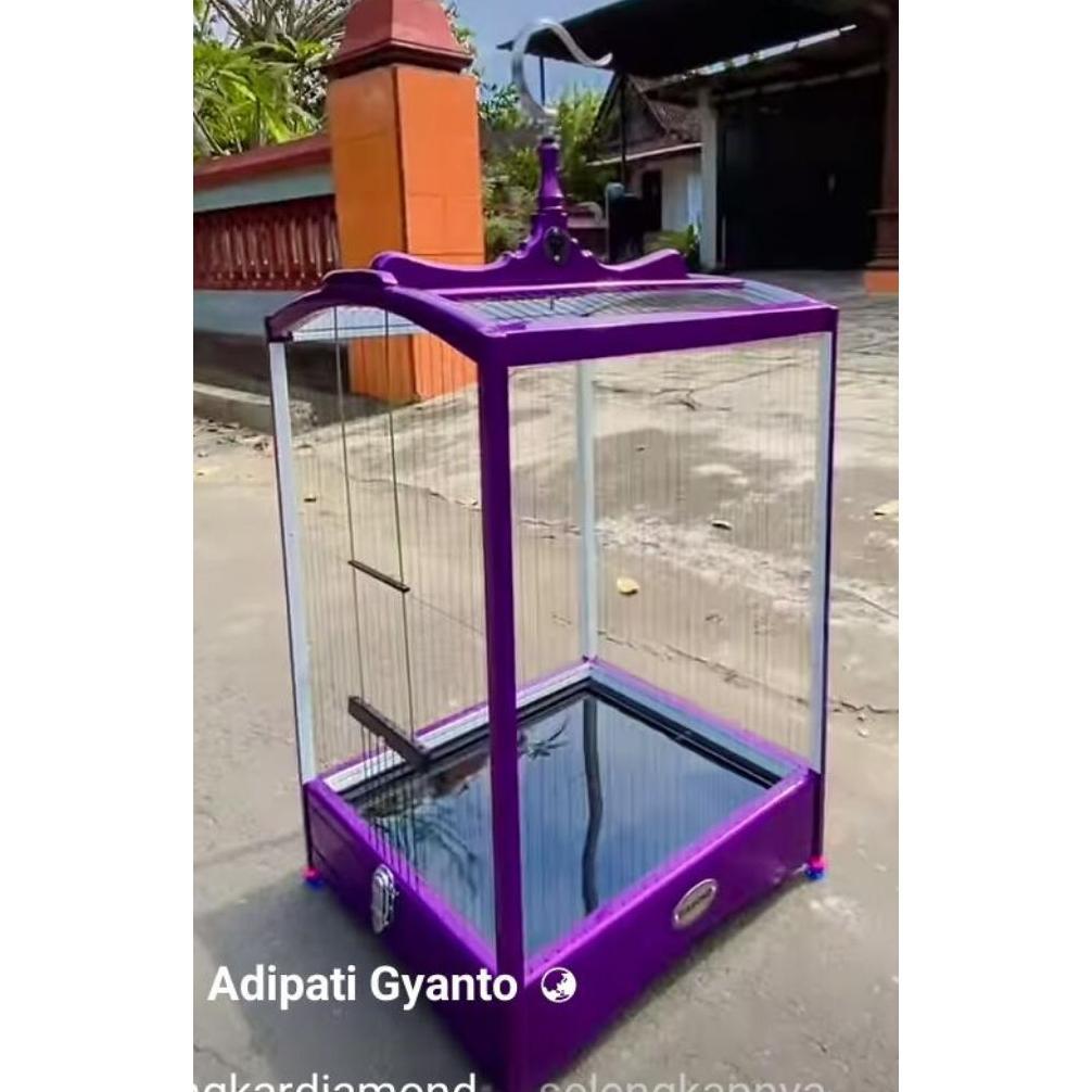 [AZF] Sangkar burung ruji senar model raja mentahan ambrukan