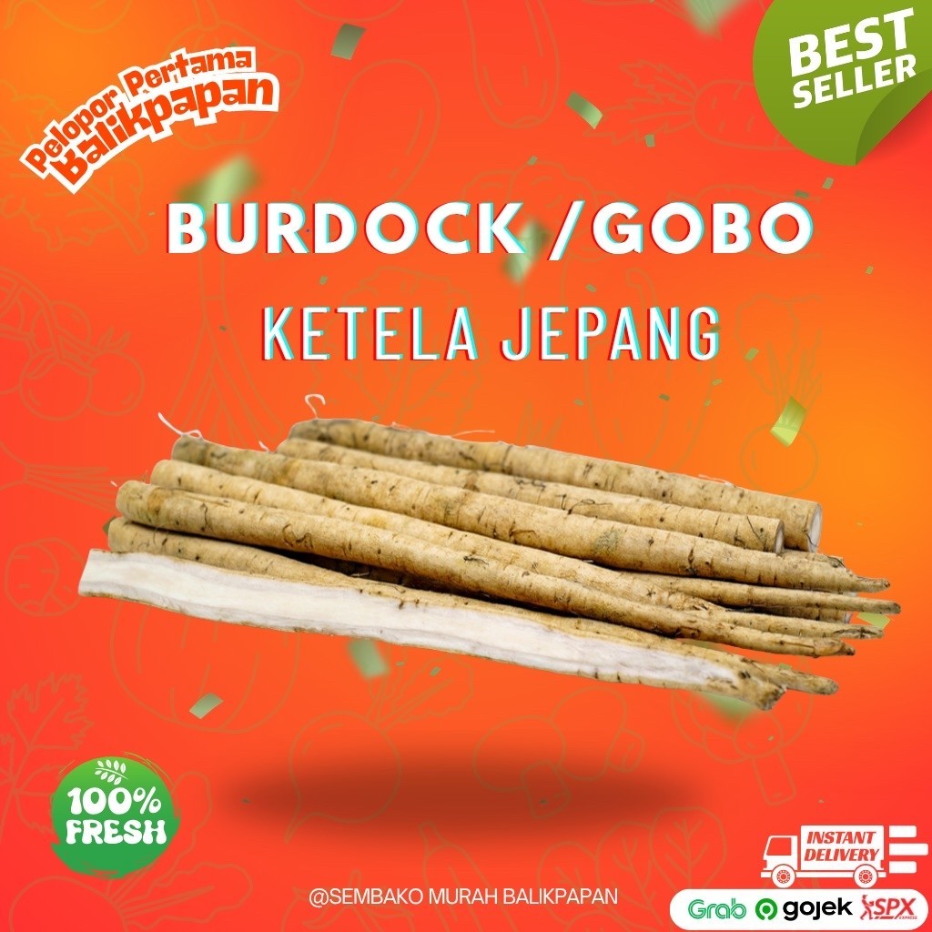 Burdock Root (Gobo) / Ketela Jepang Fresh