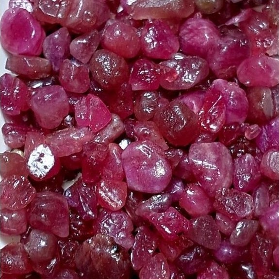 bahan ruby pigeon