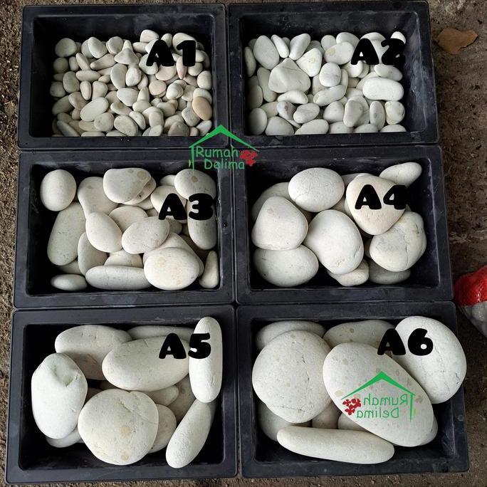 batu koral pancawarna/batu koral putih/ batu hias