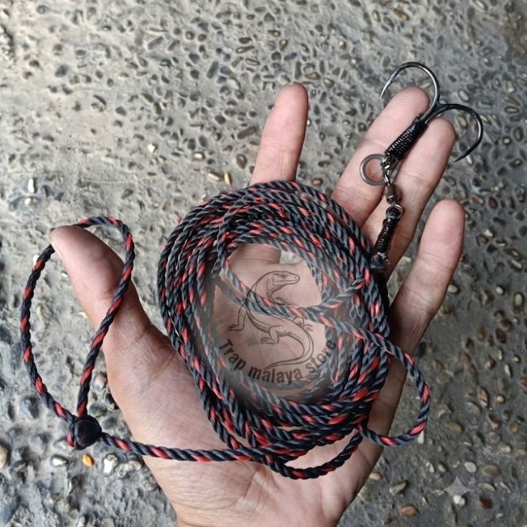 Pancing Biawak besar siap pakai panjang 4 meter