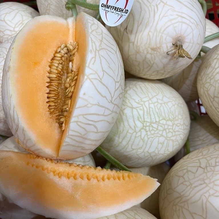 Melon Jepang Melon Hidroponik Sweet Net Melon Ohmyfresh melon Renyah dan Manis