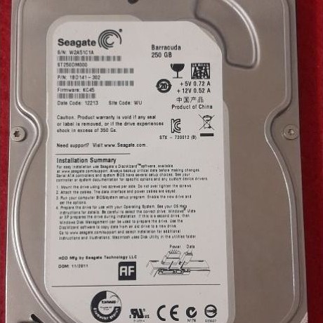 Hardisk PC 250Gb