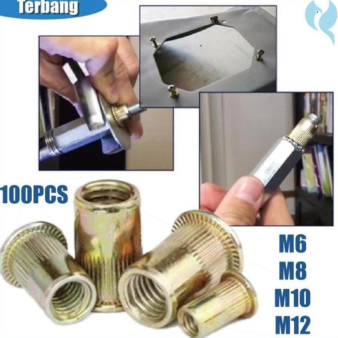 MALUKSHURE 100PCS Rivet Nut M6 M8 M10 M12 / Insert Nut / Mur Rivet / Nutsert / Mur Tanam