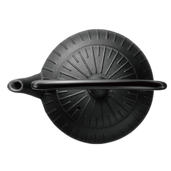 Oigen 1852 Cast Iron Tetsubin Tea Pot Chigusa 0,55Ml