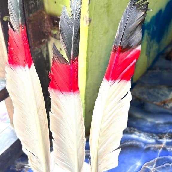 bulu etnik 20helai | bulu topi Indian Apache | bulu bebek premium | bulu topi Papua