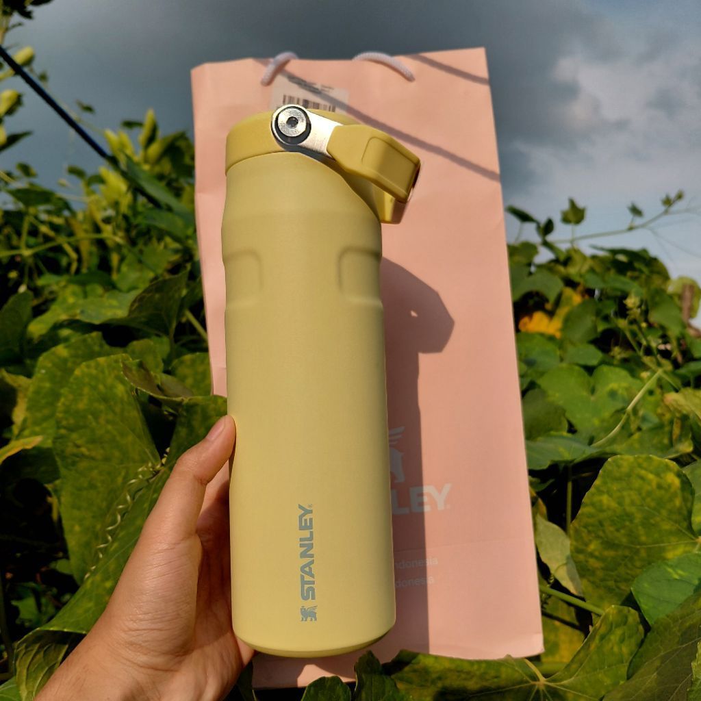 [NEW] STANLEY The Iceflow™ Aerolight Flip Straw With Lid | 24 OZ - Pomelo