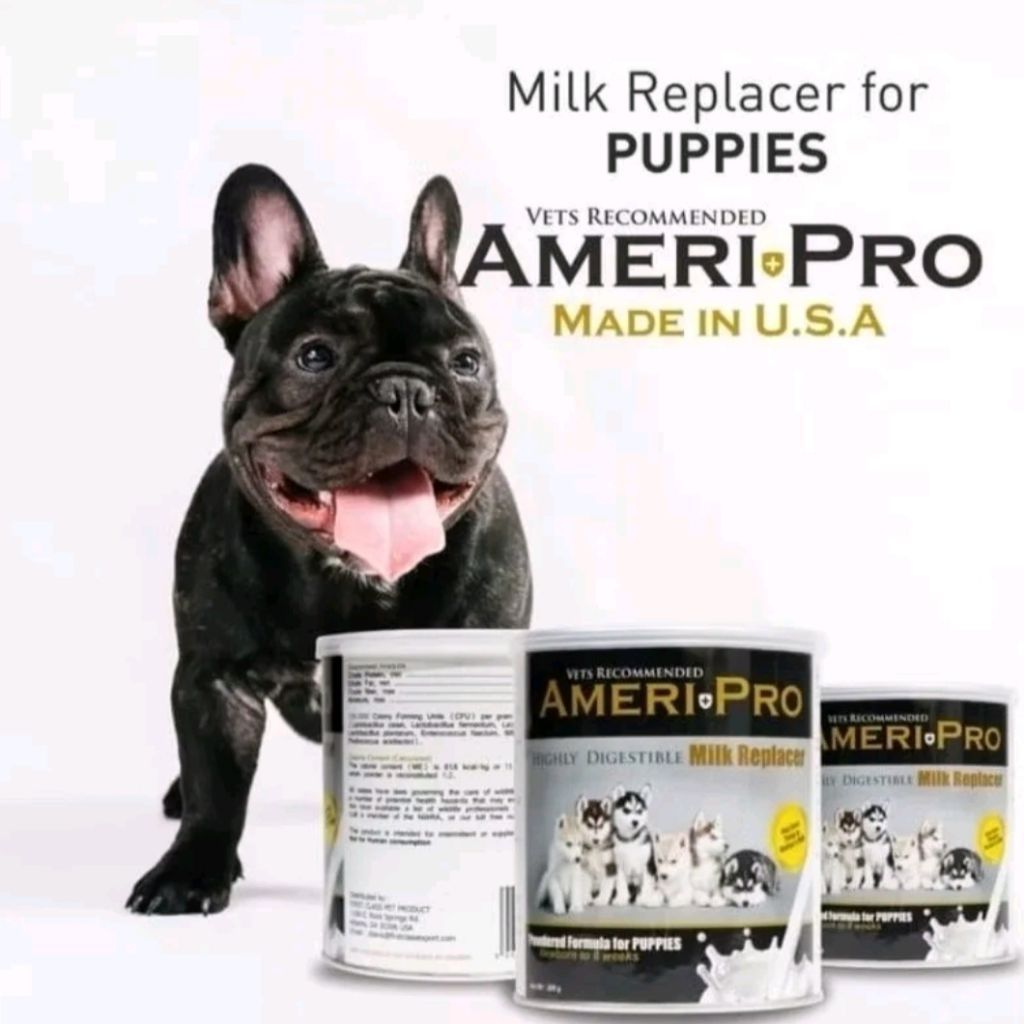Susu Ameri Pro - Susu Anjing Ameri Pro
