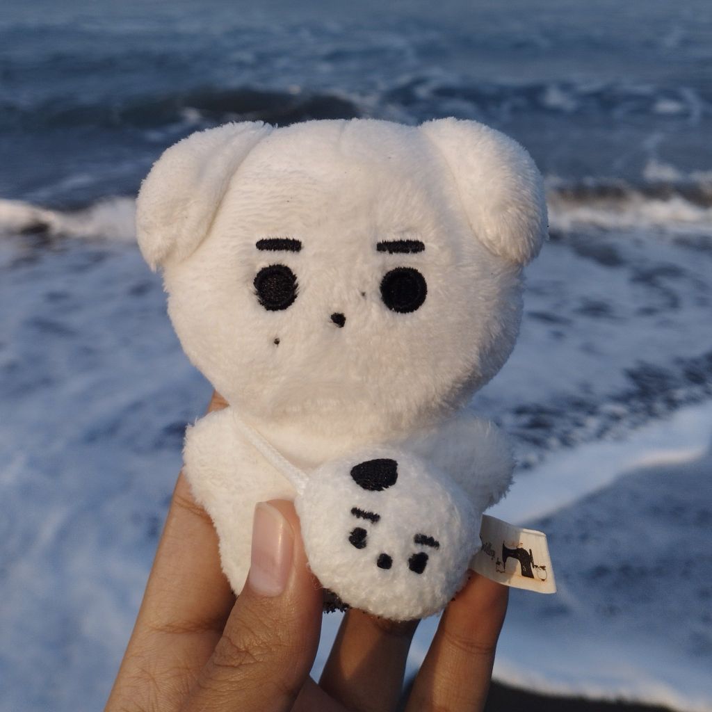 sunghoon doll 10cm hoondaeng