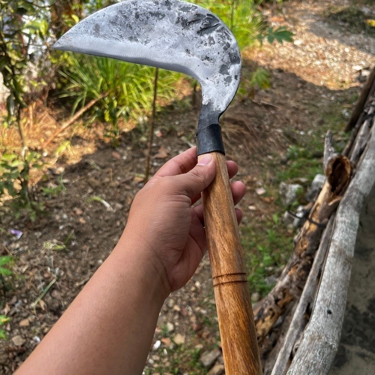 Arit rumput arit padi mntul arit rumput sudha teruji