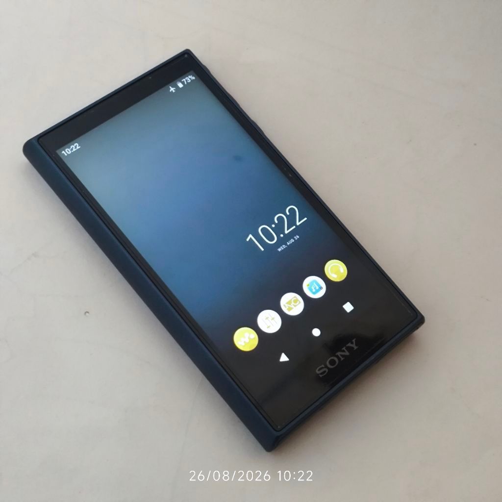 DAP Sony NW-A105 (second)