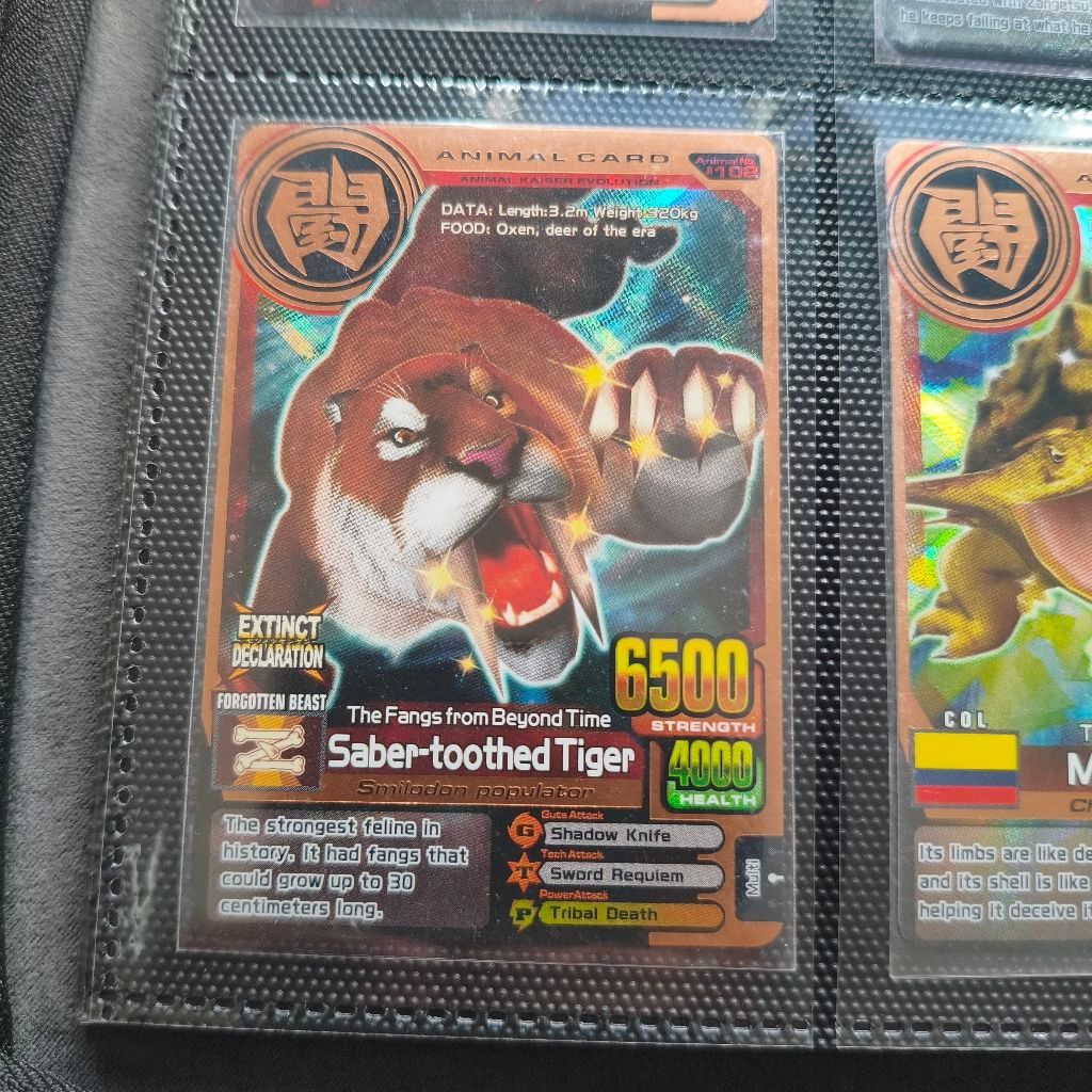 Animal Kaiser Bronze Card Saber-toothed Tiger Evo 8 DX