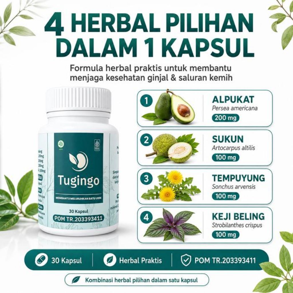 TUGINGO - 30 Kapsul Tugingo Herbal untuk Membantu Meluruhkan Batu Ginjal