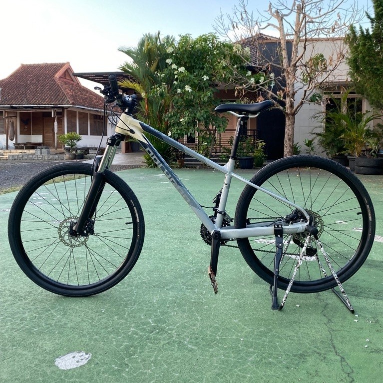 Sepeda MTB Polygon Xtrada 6 Size S