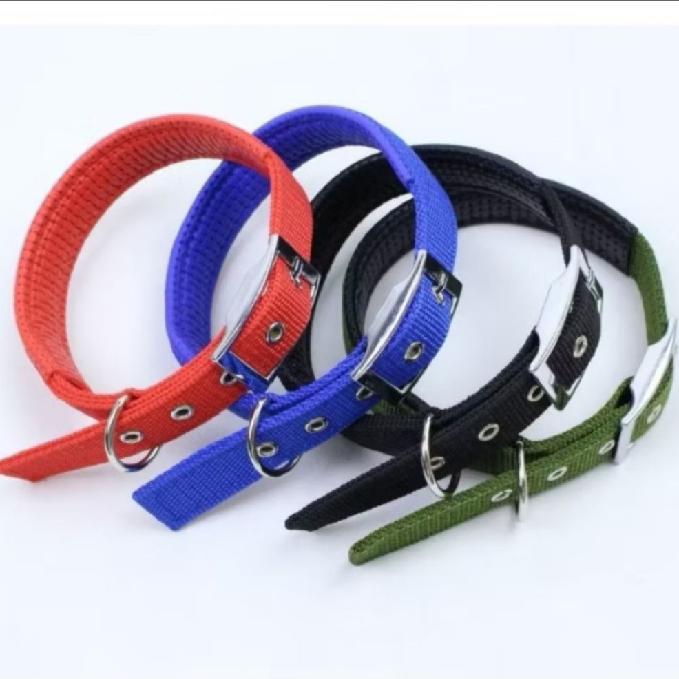 Kalung Anjing Besar - Kalung Anjing Jumbo - Kalung Anjing Nilon
