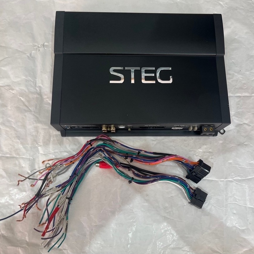 prosesor steg SDSP10