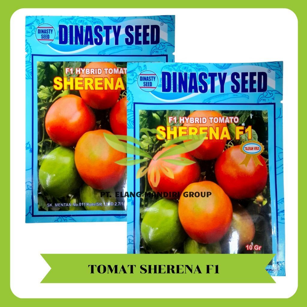 Sherena  F1 10gr F1 Hybrid Tomato Dinassty Seed