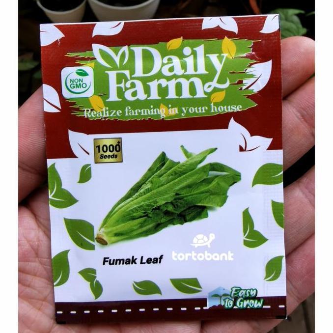 Promo BIJI FUMAK - BIBIT FUMAK - BENIH FUMAK LEAF - MAKANAN KURA DARAT Diskon