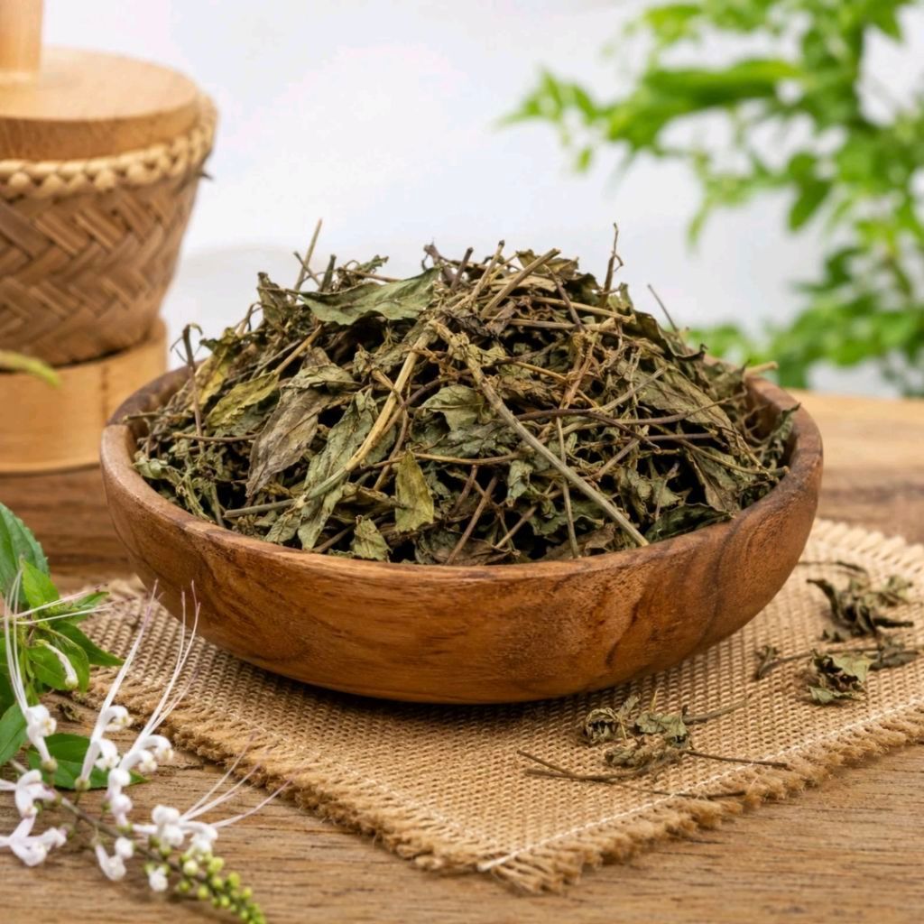 Daun Kumis Kucing kering 500gr /1kg - Kumis Kucing Kering